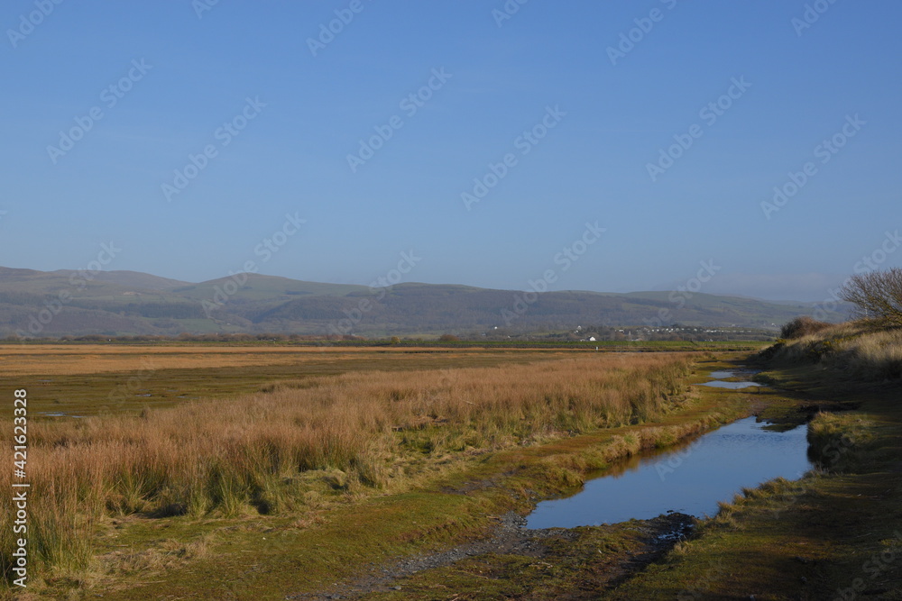 the grasslands of a nature reserve at the end of an estuary with a small flooded track that goes though it for ranger to keep the land preserved 