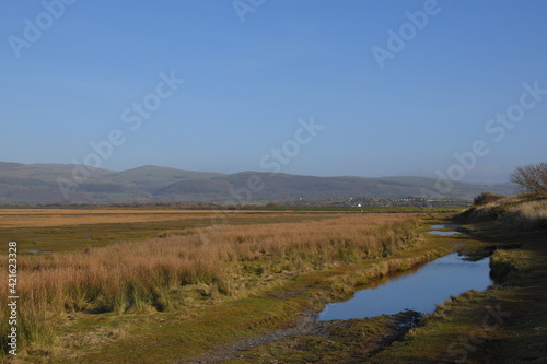 the grasslands of a nature reserve at the end of an estuary with a small flooded track that goes though it for ranger to keep the land preserved 