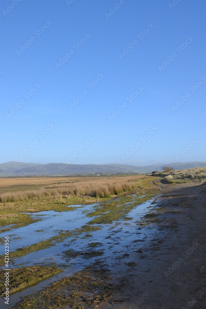 the grasslands of a nature reserve at the end of an estuary with a small flooded track that goes though it for ranger to keep the land preserved the grasslands of a nature reserve at the end of an estuary with a small flooded track that goes though it for ranger to keep the land preserved