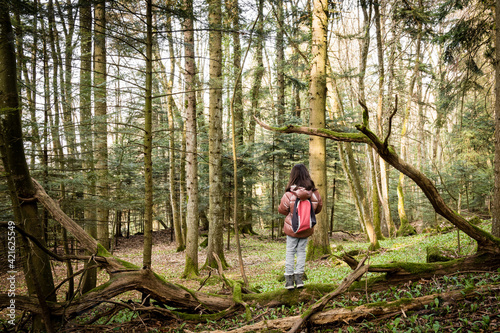 Enfant perdu dans la forêt