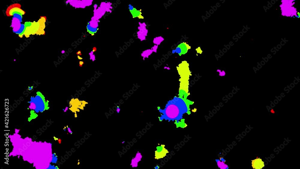 On a black background, multi-colored spots appear and slowly move, becoming pink. Abstract splash. On a black background, multi-colored spots appear and slowly move, becoming pink. Abstract splash.