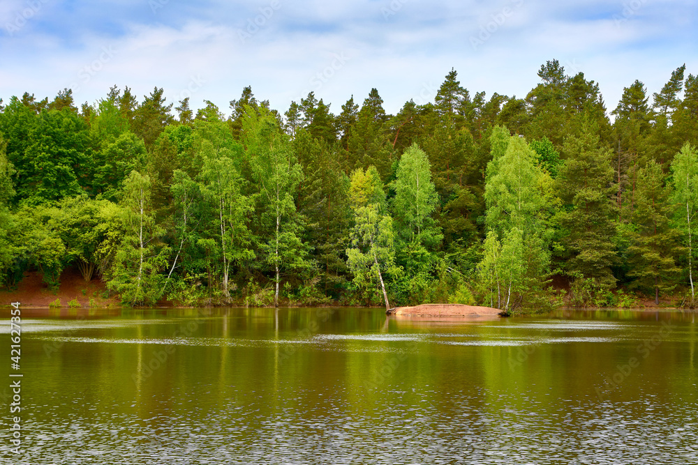 Bewaldeter See mit kleiner mit Birken bewachsener Insel 