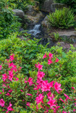 USA, Washington State, Seattle. Kubota Garden, azalea and stream.