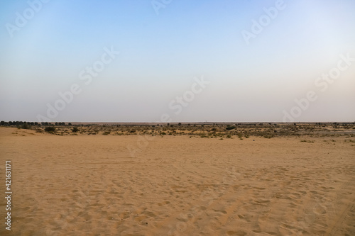 Desert landscape in Dubai. Desert in Dubai during summer