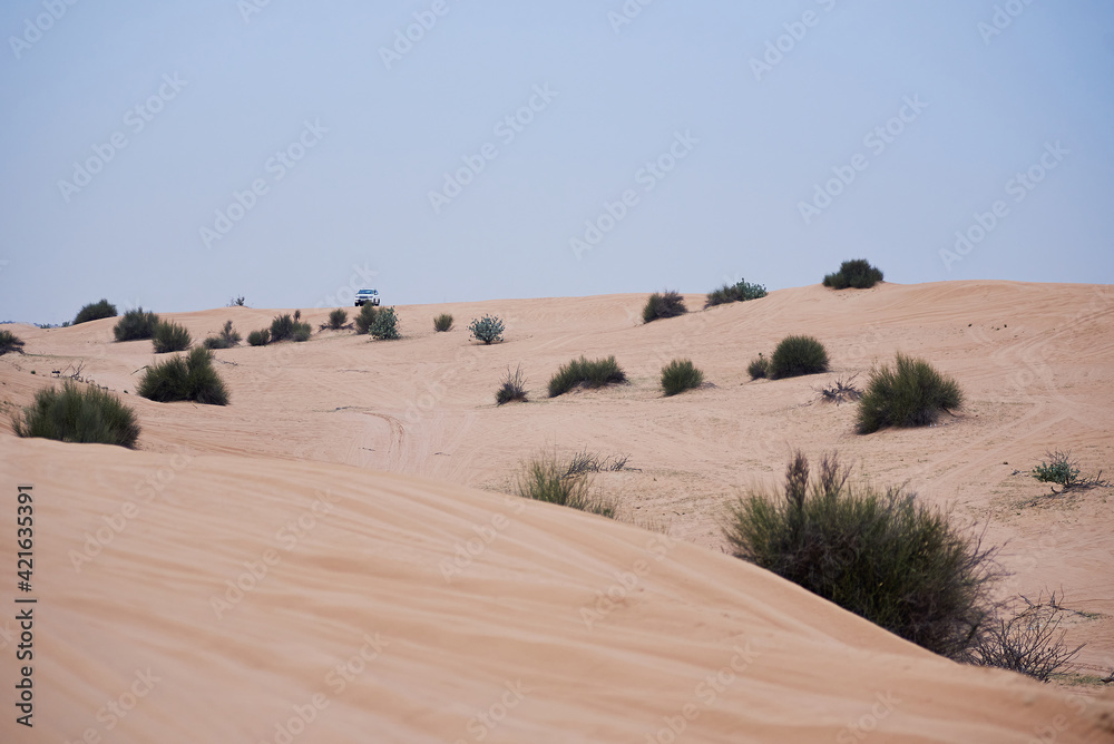 Obraz premium 4WD Desert Dubai Safari in the evening