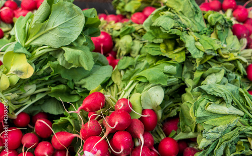 Basket of colorful and healthy red radishes