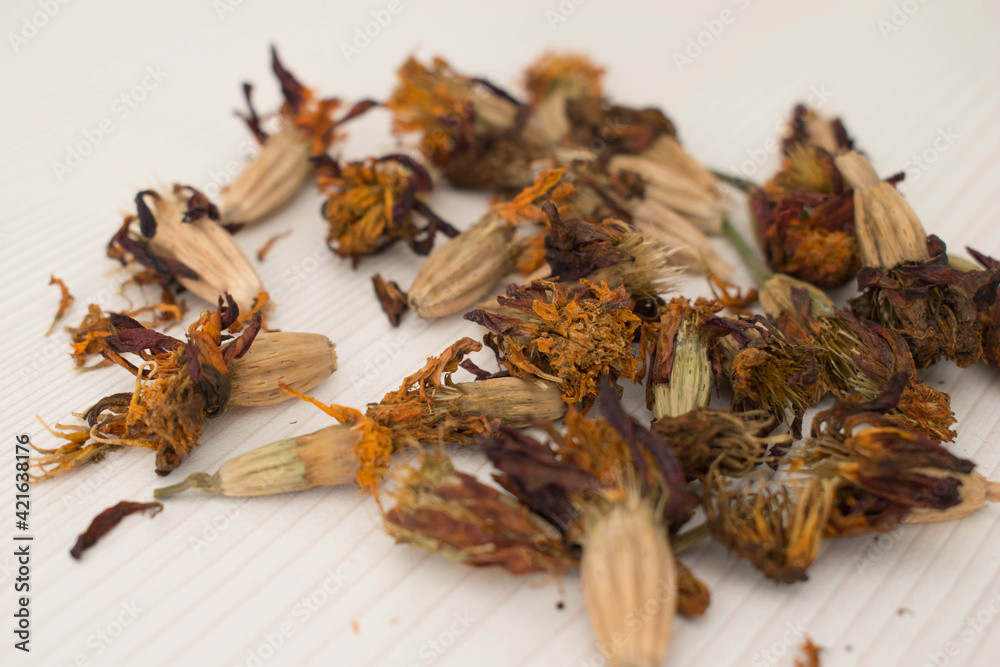 Marigold plant seeds, dry flower.Collection of dried marigold seeds. Marigold plant seeds, dry flower.Collection of dried marigold seeds.