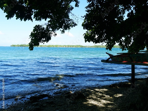 Beachline shaded by a huge tree on a sunny day, southern Philippines. photo