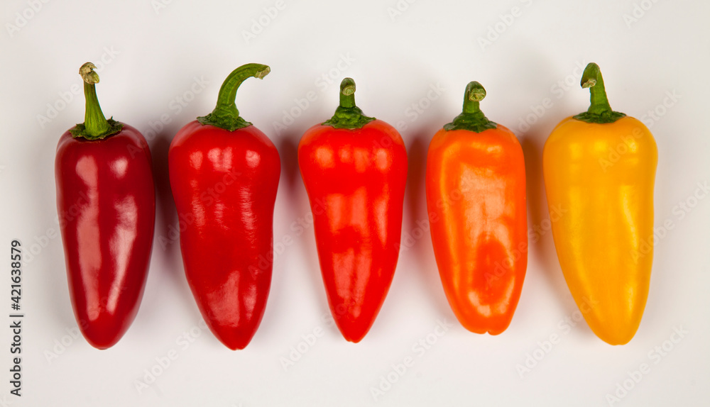 DIFFERENT COLORS SPICY PEPPERS DIFFERENT COLORS SPICY PEPPERS
