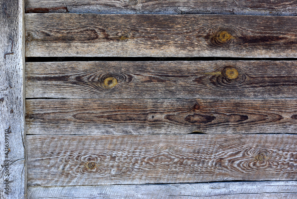 Obraz premium Old wood background.The texture of old vintage boards.