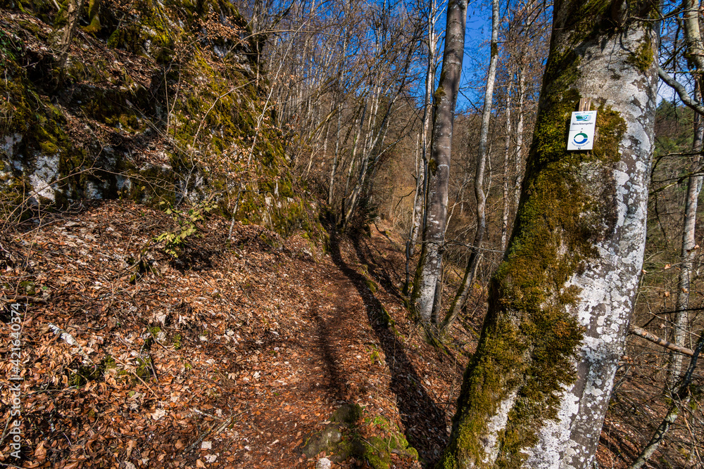 Spring hike in the Danube Valley near Sigmaringen Spring hike in the Danube Valley near Sigmaringen