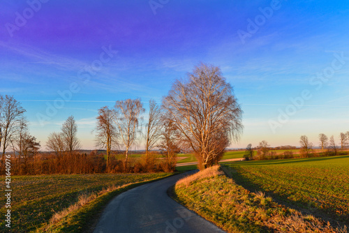 Radweg/Wanderweg in Nidderau im hessischen Main-Kinzig-Kreis