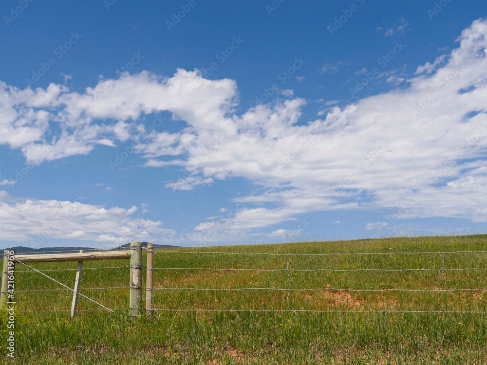 Wyoming farmlands with a wire fence along the road.