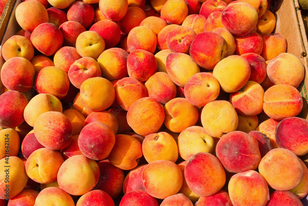 Peaches Peaches