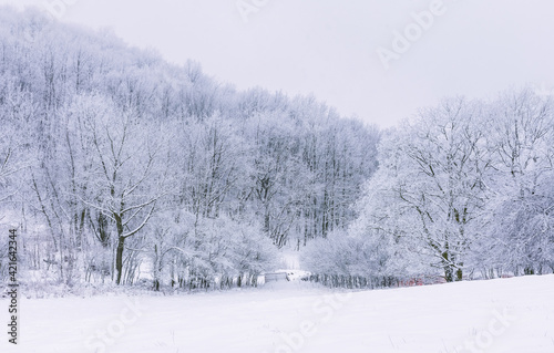 Winter landscape in Czech republic.
