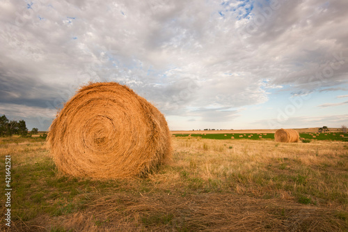 Straw bale on field photo