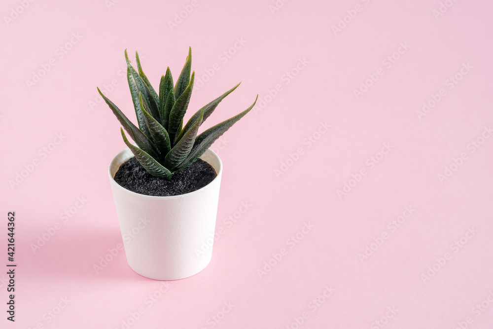 Artificial green office flower with leaves in a pot on pink background, copy space