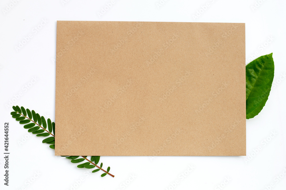 Blank brown paper with green leaves on white. Blank brown paper with green leaves on white.