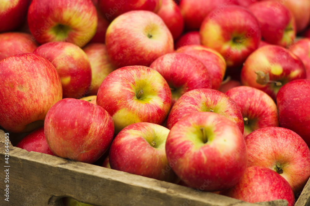 USA, New York, New York City, Apples in crate USA, New York, New York City, Apples in crate