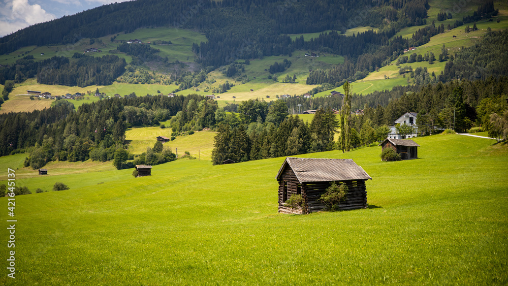 Obraz premium grass nature shelter recreation forest