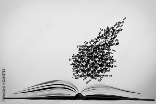 Closeup of an open book with flying words photo