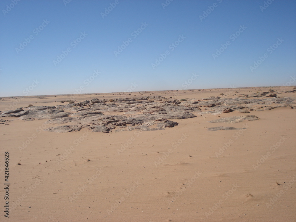 roche et sable au milieu de désert algérien 