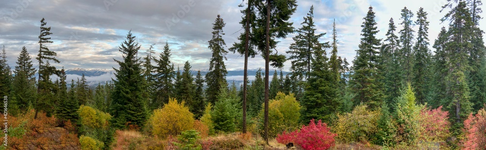 Fototapeta premium USA, Washington State. Panorama of Autumn color with yellow, red and green.