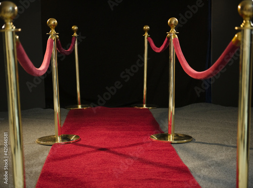 Rope barriers at red carpet event