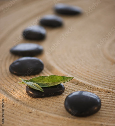 Spa stones