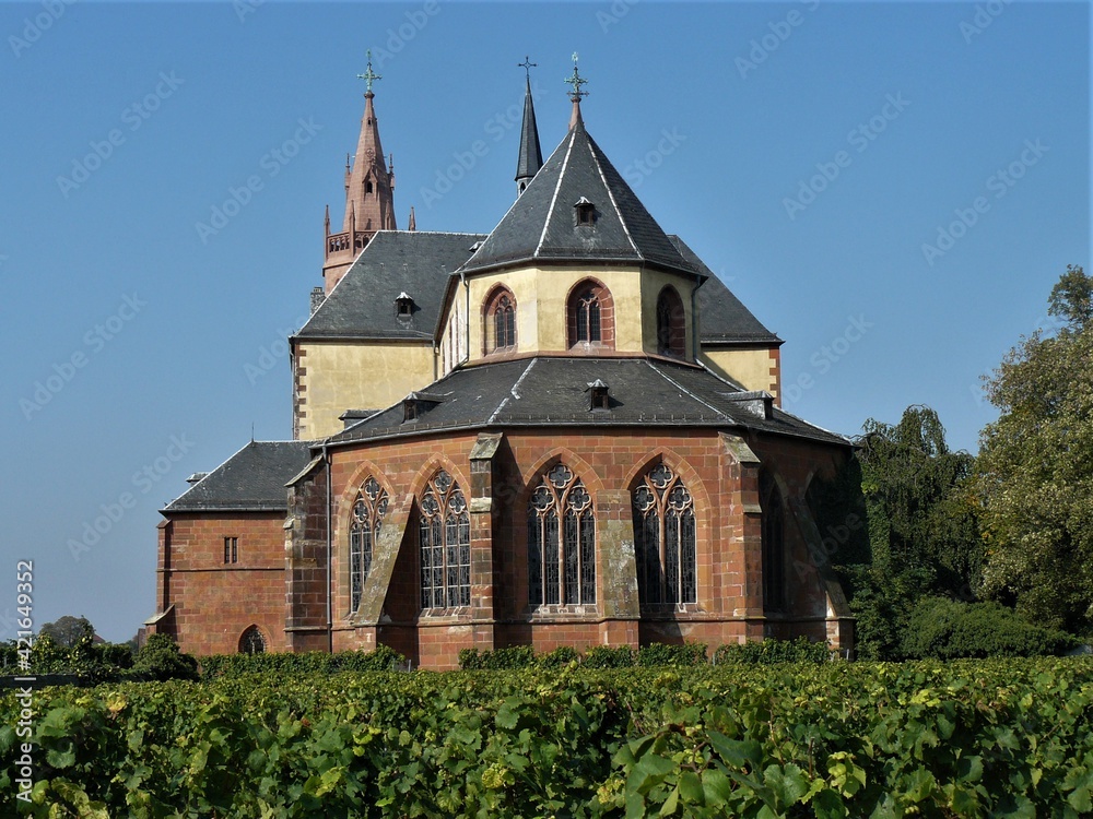 Liebfrauenkirche mit Weinberg in Worms am Rhein
