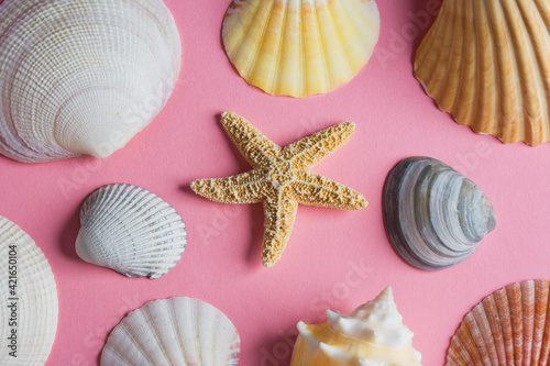 Sea shells