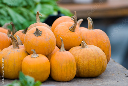 Pumpkins on display at farmer's market photo