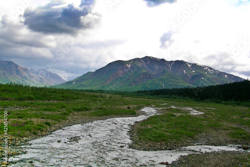 Small Creek in Alaska with Mountain in Background 
