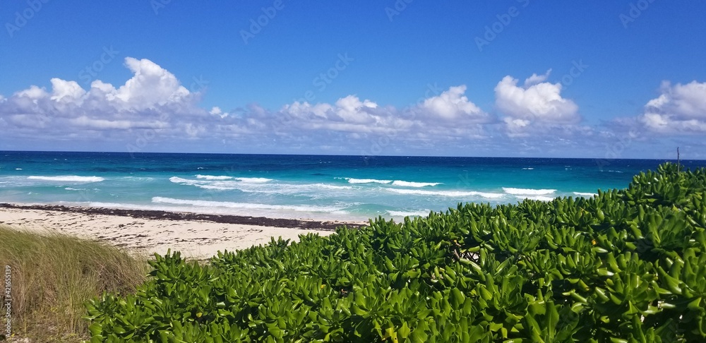 plage sauvage mer république dominicaine paradis plage sauvage mer république dominicaine paradis