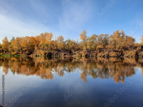 autumn trees reflected in water