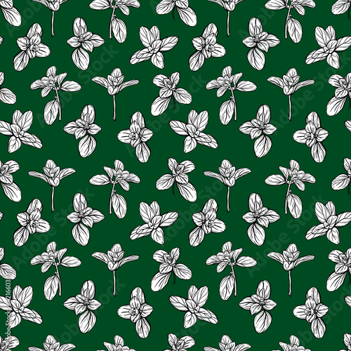  Basil Seamless Pattern. Italian herbs.A sprig of marjoram. Basil is a fragrant and fragrant seasoning. Hand-drawn illustration