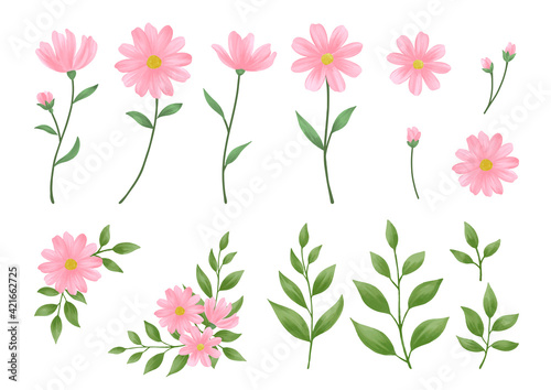 ピンク色の花のイラスト素材. 水彩タッチの手描き. フレームや装飾用のデザイン要素コレクション. 白背景にベクターイラスト.  © Niko