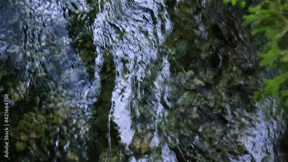 clear mountain stream water clear mountain stream water