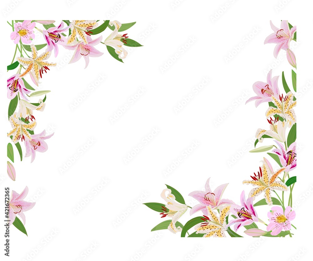 Fototapeta premium 百合の花のフレーム