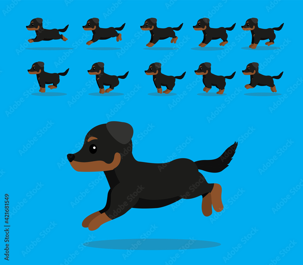 Animal Animation Sequence Dog Beauceron Cartoon Vector