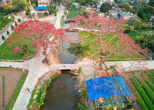 THAIBINH, VIETNAM - 14 MAR, 2021: Bombax blossoms over an ancient temple. This temple is in warship for some ancient angel King in history of Vietnam photo