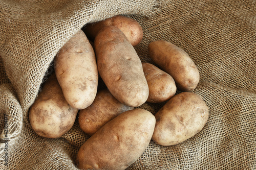 A top view image of large organic russet potatoes on a brown burlap sack.  photo