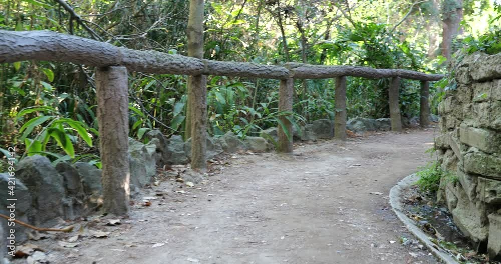A beautiful nature trail in a forest with a wooden fence A beautiful nature trail in a forest with a wooden fence