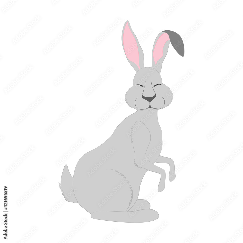 Obraz premium Rabbit little bunny cute animal vector illustration