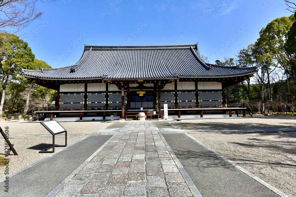 桜と仁和寺の金堂，本堂