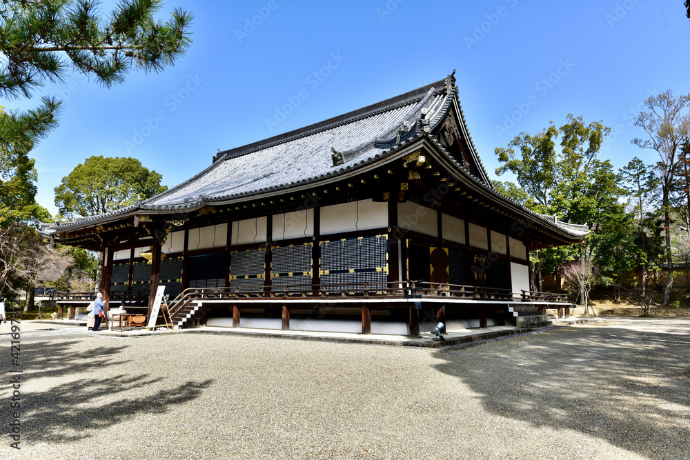 桜と仁和寺の金堂,本堂 桜と仁和寺の金堂,本堂