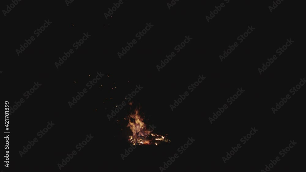 Campfire flame burning a pile of wood logs in real time. Campfire flame burning a pile of wood logs in real time.