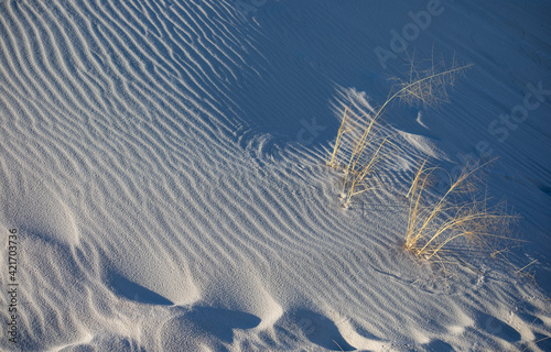 sand patterns in the largest gypsum white sand desert in the world, the White Sands National Park in New Mexico .