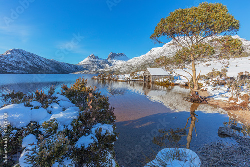 Beautiful , morning, light, over Dove Lake. With old historic wooden Boat Shed in the foreground. Snow covered Cradle Mountain in the distance. Cradle Mountain Lake St Clair National Park. Tasmania.  photo
