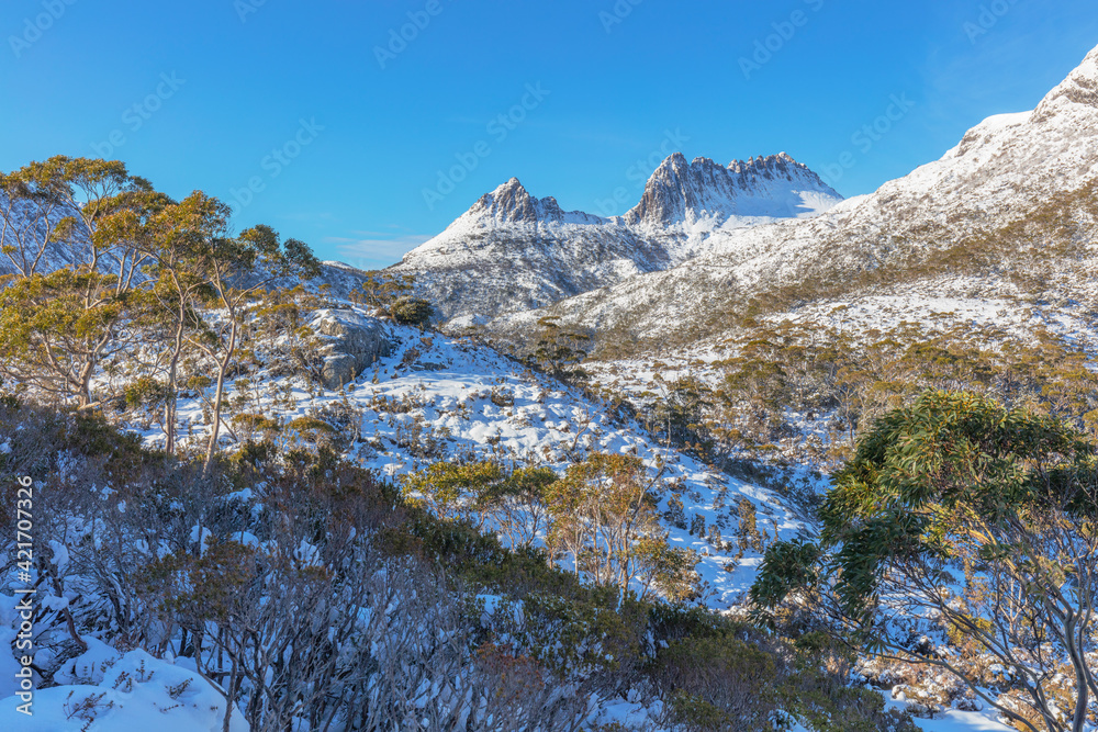 Beautiful evening light over ,snow covered Cradle Mountain. Cradle Mountain Lake St Clair National Park. Central Highlands of Tasmania, Australia